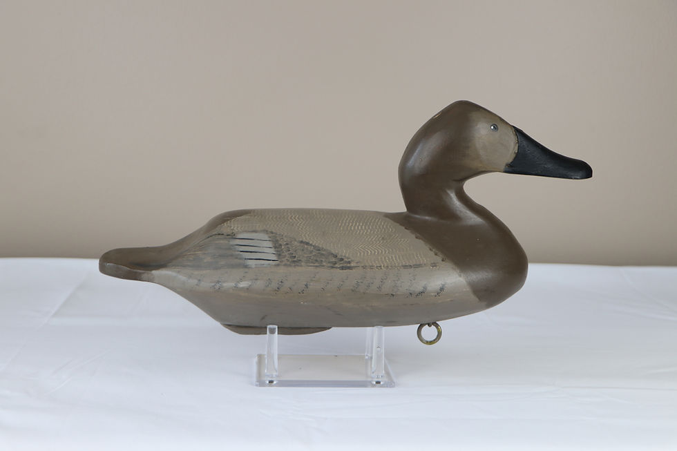 Thumbnail: J. Evans McKinney | Elkton, MD | Canvasback Hen