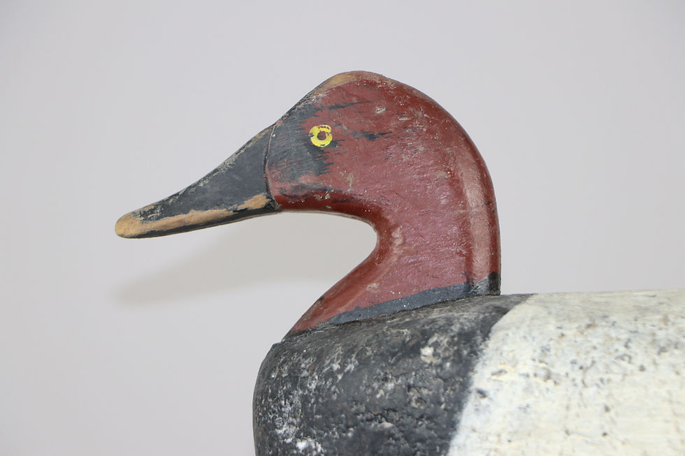 Thumbnail: Cork Canvasback Drake  Samuel Barnes  Havre de Grace Md