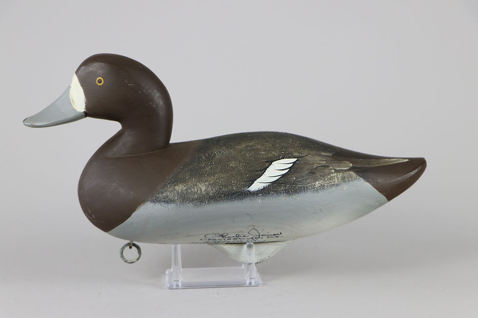 Thumbnail: Bluebill Pair  Charlie Joiner  Chestertown, Md