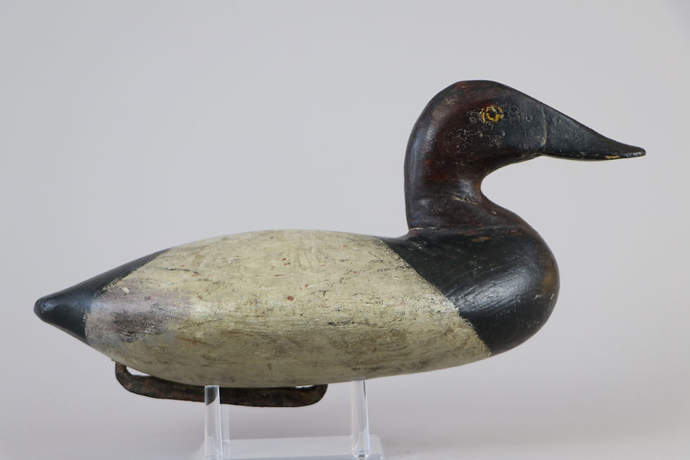 Thumbnail: Canvasback Drake  John Graham  Charlestown, Md