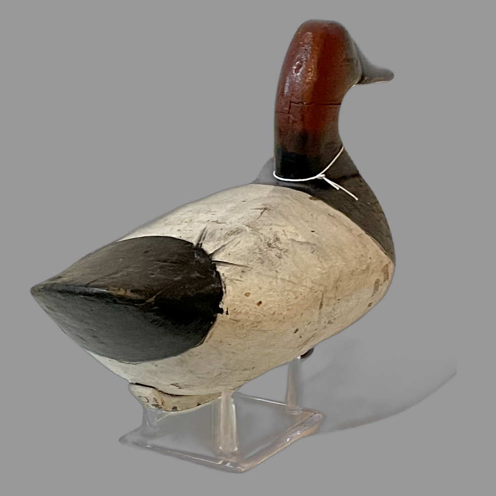 Thumbnail: Thomas Barnard Canvasback Drake