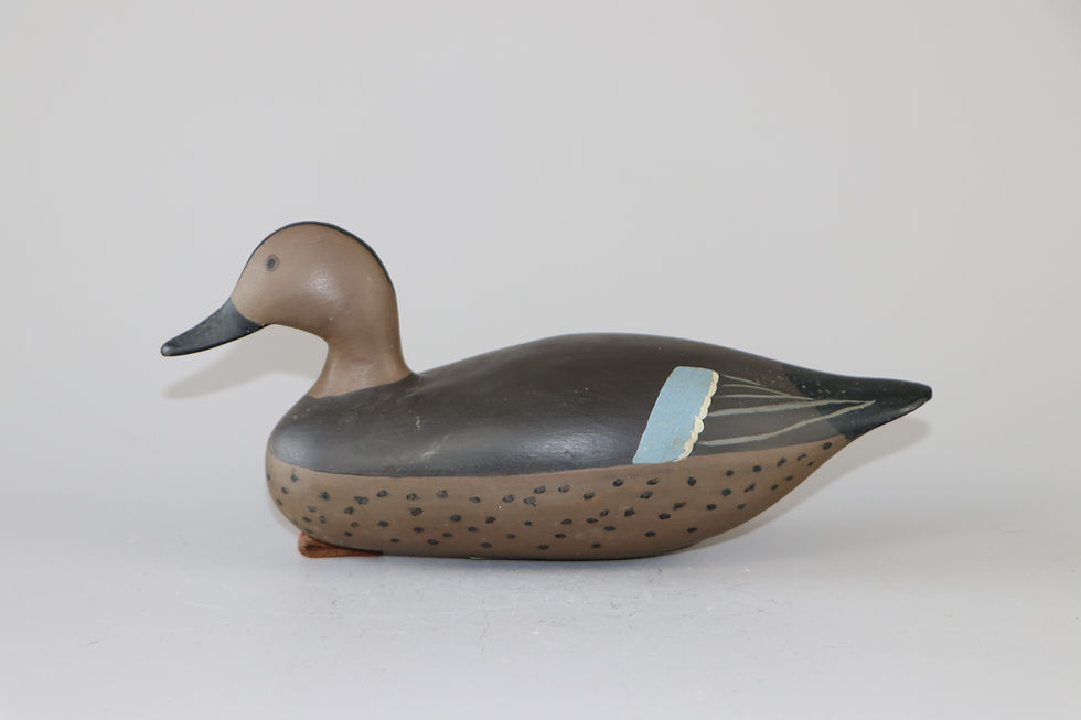 Blue Wing Teal Hen Allen Purner Chesapeake City, Md