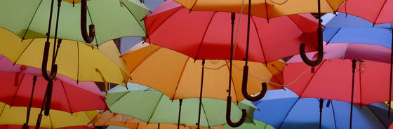 Don't Rain on My Disney Vacation!