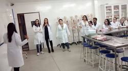 II Abordagem Cardiopulmonar