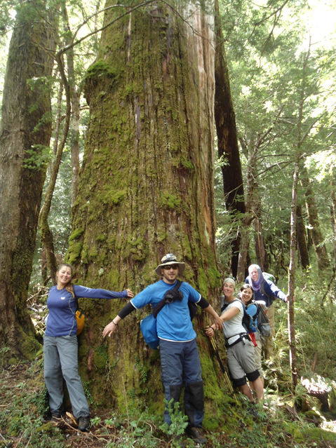 Friends hugging an Alerce ( Fitz Roya) tree of thousand years old and 2 meters of diameters in Tagua Tagua private park. These 3 days trekking expedition makes you travel on trails of native virgen template rain forest typical from the south of Chile.
Situated in Puelo Valley