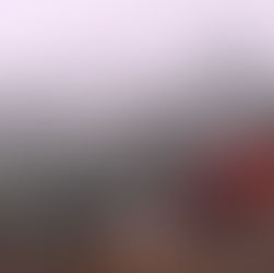 HOW ARE BRIDGES BUILT?