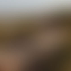 ENVIE D'UNE PETITE BALADE EN VÉLO ?