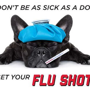 GEZONDHEIDSCRISIS DOOR MUTATIE VAN HONDEN GRIEPVIRUS H3N2 IN VARIANT DIE MENS KAN BESMETTEN ?