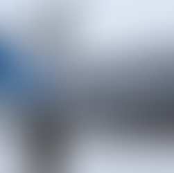 DE MILITAIRE VLAG VAN FINLAND