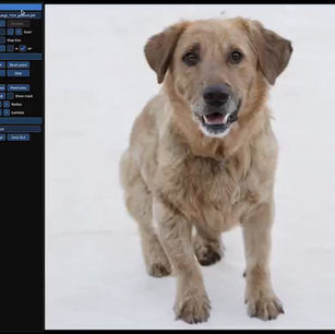 DRAGGAN: IS ER NOG IETS ECHT?