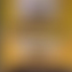 HET EFFECT VAN WIFI OP PLANTEN