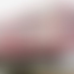 HÔTEL FLOTTANT POUR LES MIGRANTS