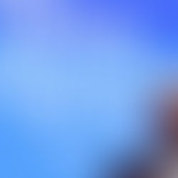 LE PRÉSIDENT SUISSE ALAIN BERSET DÉMISSIONNE