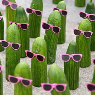 LE TEMPS DES CORNICHONS