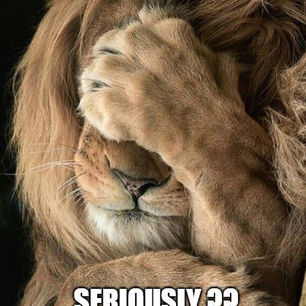 9 ESPÈCES ANIMALES PEUVENT LIMITER LE RÉCHAUFFEMENT CLIMATIQUE