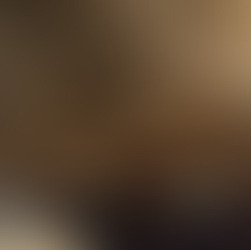 ZETTEN DE BRIC LANDEN HET WESTEN TE KAKKEN ?