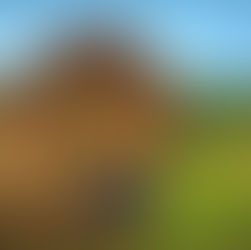 PROMOTIE VAN NON-BINAIR EN GENDERNEUTRAAL: HET ZIT OVERAL