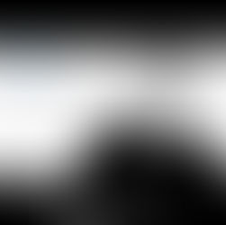 ROGER WATERS ( Pink Floyd ) ACCUSE BIDEN, BLINKEN,NULAND ET L'OTAN POUR LA GUERRE EN UKRAINE