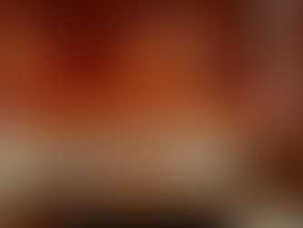 Servicios de Publicidad Local: Destaca tu Restaurante con Influen