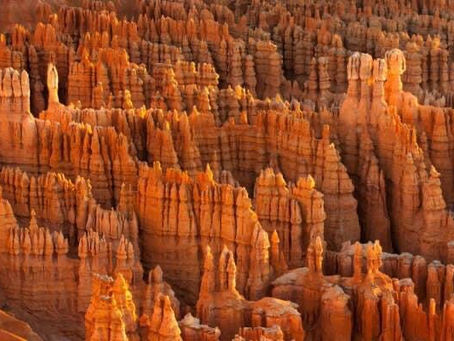 Cốc Dalgona lý sự