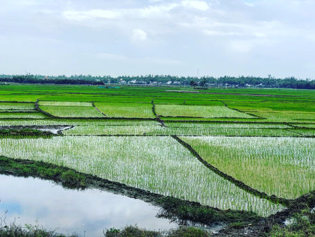 Năm tháng tĩnh lặng, kiếp này bình an