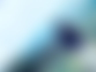 Chuyện vặt từ Bondi