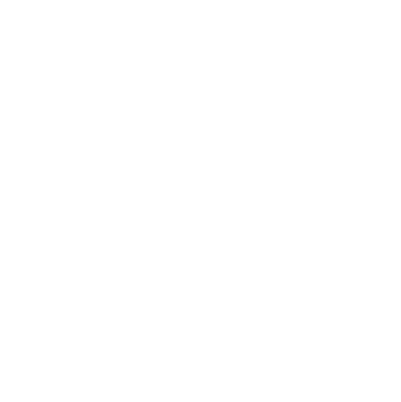 cerveau.png