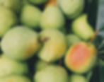 Preserves