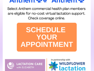 We can schedule virtual visits to be covered by insurance (no payment for you the client) through Wildflower.