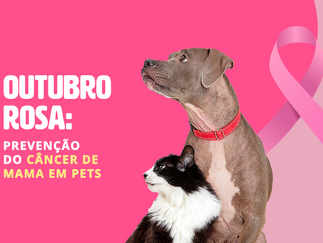 OUTUBRO ROSA PET - Câncer de Mama em Cadelas e Gatas: Sinais ClÃnicos, Causas, Prevenção e Tratamento