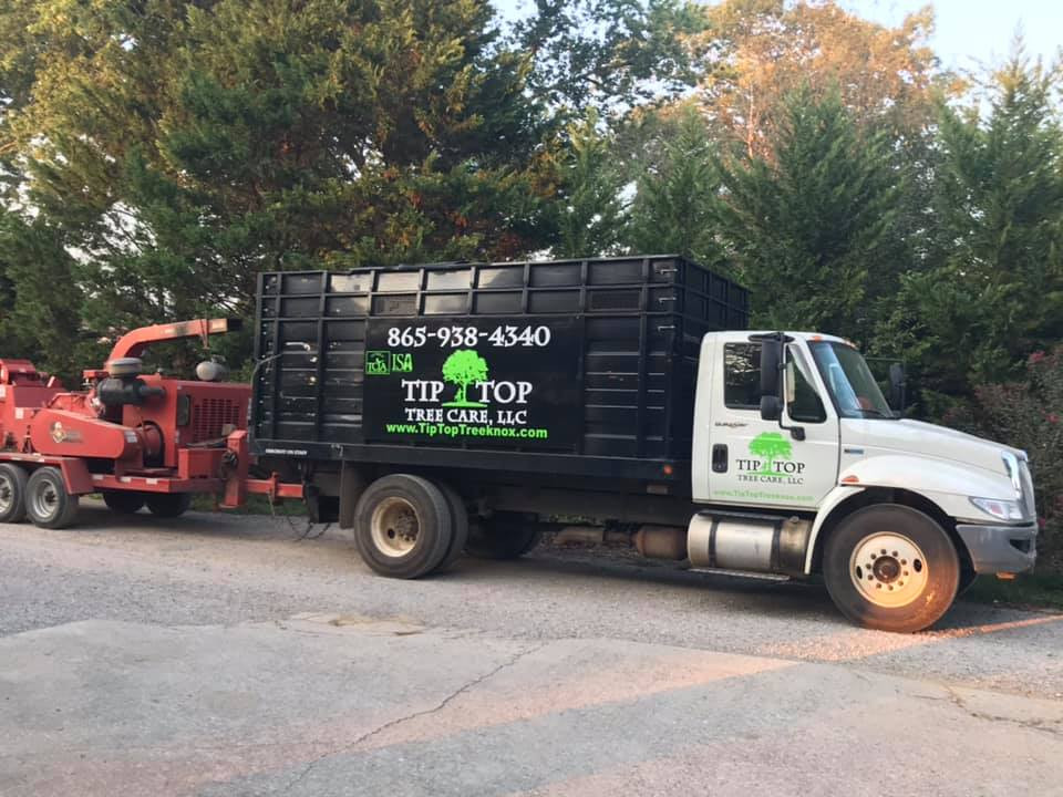 Knoxville Firewood Pickup & Delivery Seasoned Firewood Knoxville TN