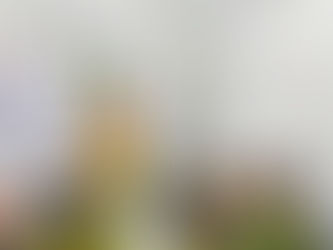 Pendekatan Aktivitas Gerak dan Keseimbangan untuk Anak Usia Dini di Kidsland Penagreen School Solo