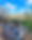 vista.jpeg