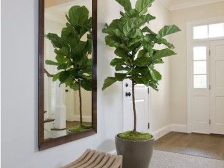 Comment aménager une entrée accueillante et pratique