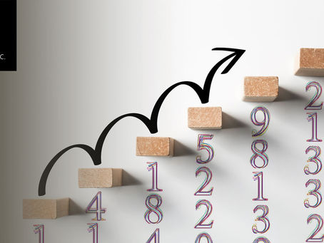 Price Optimization Methods to Model and Maximize Profits