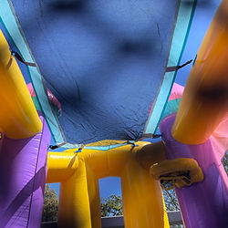 Picture of bounce house 