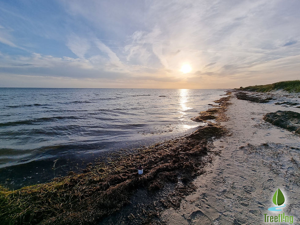 sandstrand i skåne