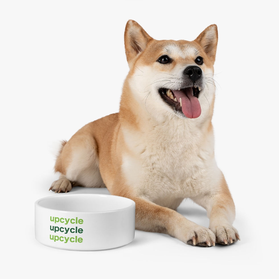 Thumbnail: Pet Upcycle Bowl