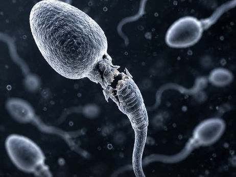 Miscarriages Might Be Not What You Think They Are