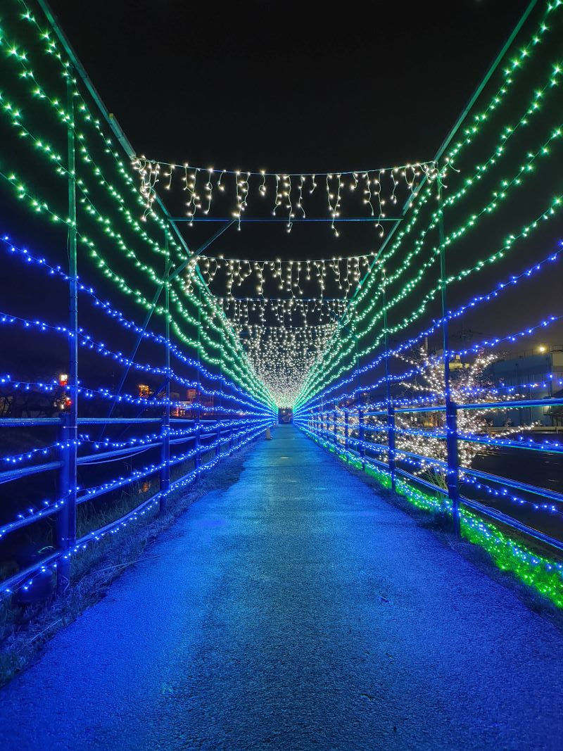 もばら冬の七夕まつり