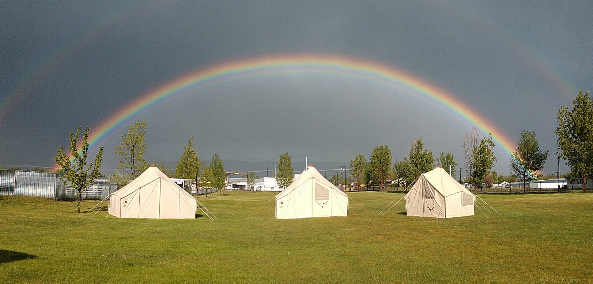 A premium handmade canvas wall tent standing elegantly in a misty alpine forest setting.