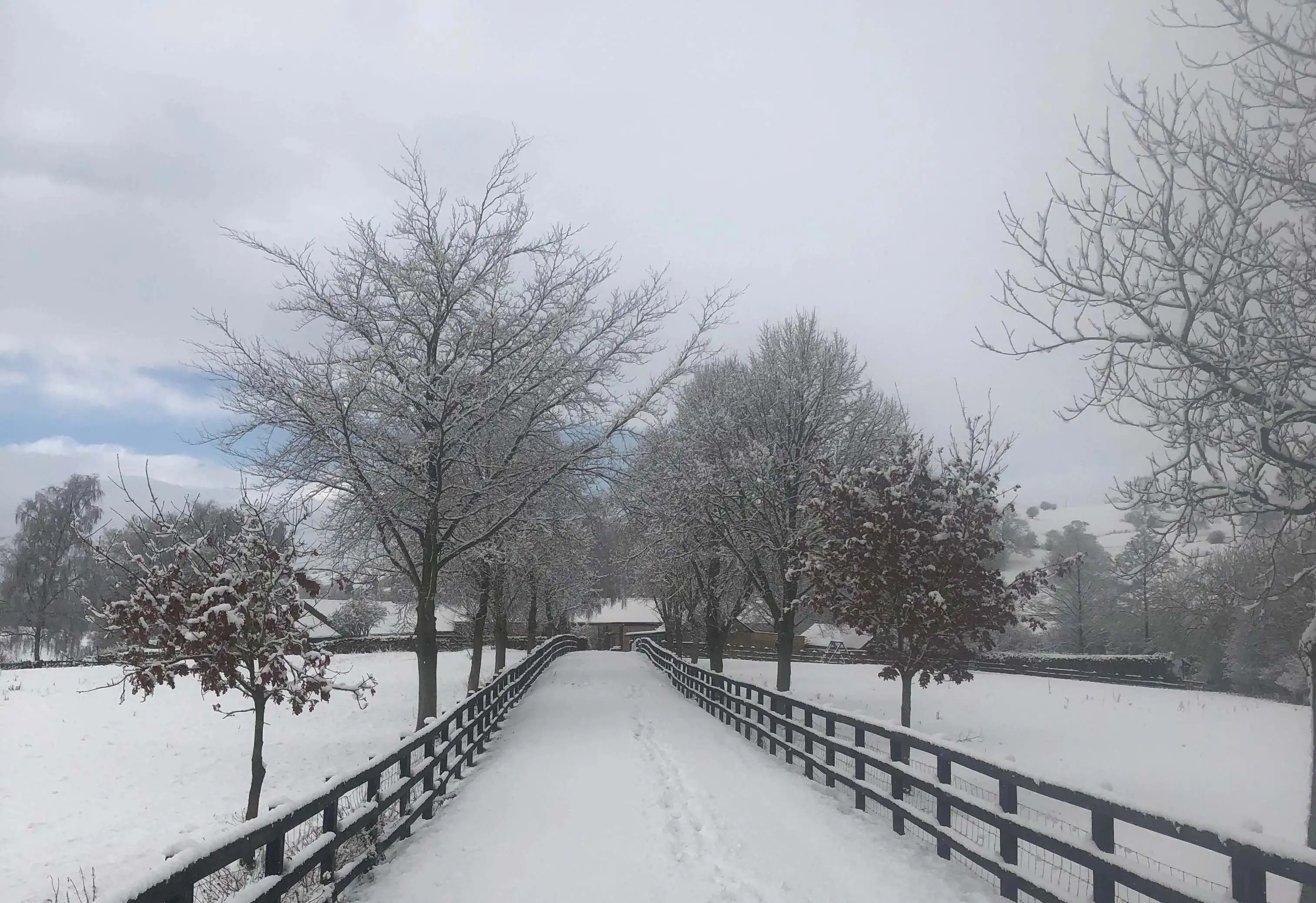 Stainsborough in the snow (1).webp