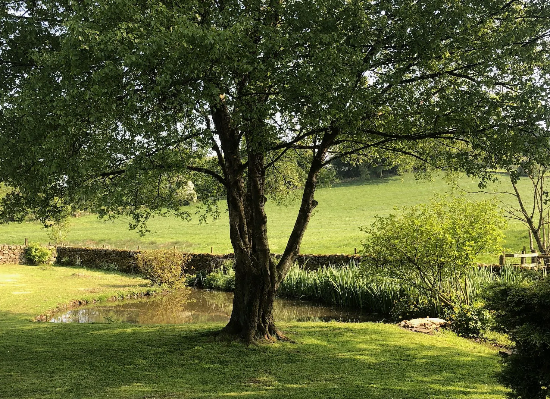 The Gardens at Stainsborough.webp