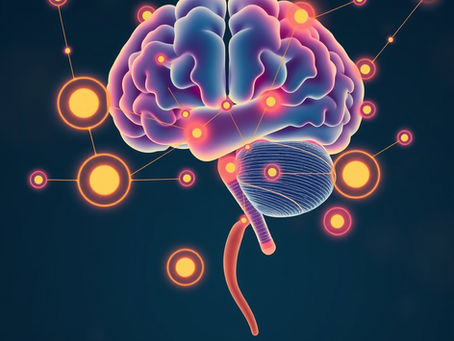 TBI and Gut Dysfunction: Exploring the Brain-Gut Link