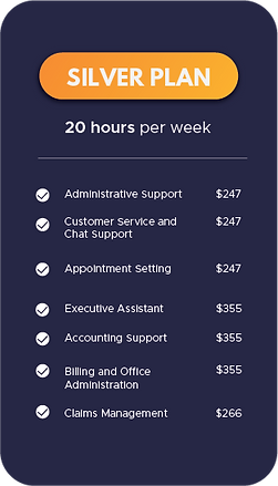 Plan Design Silver.png