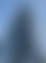 動物取扱責任者