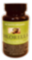 chlorella-T (3).png
