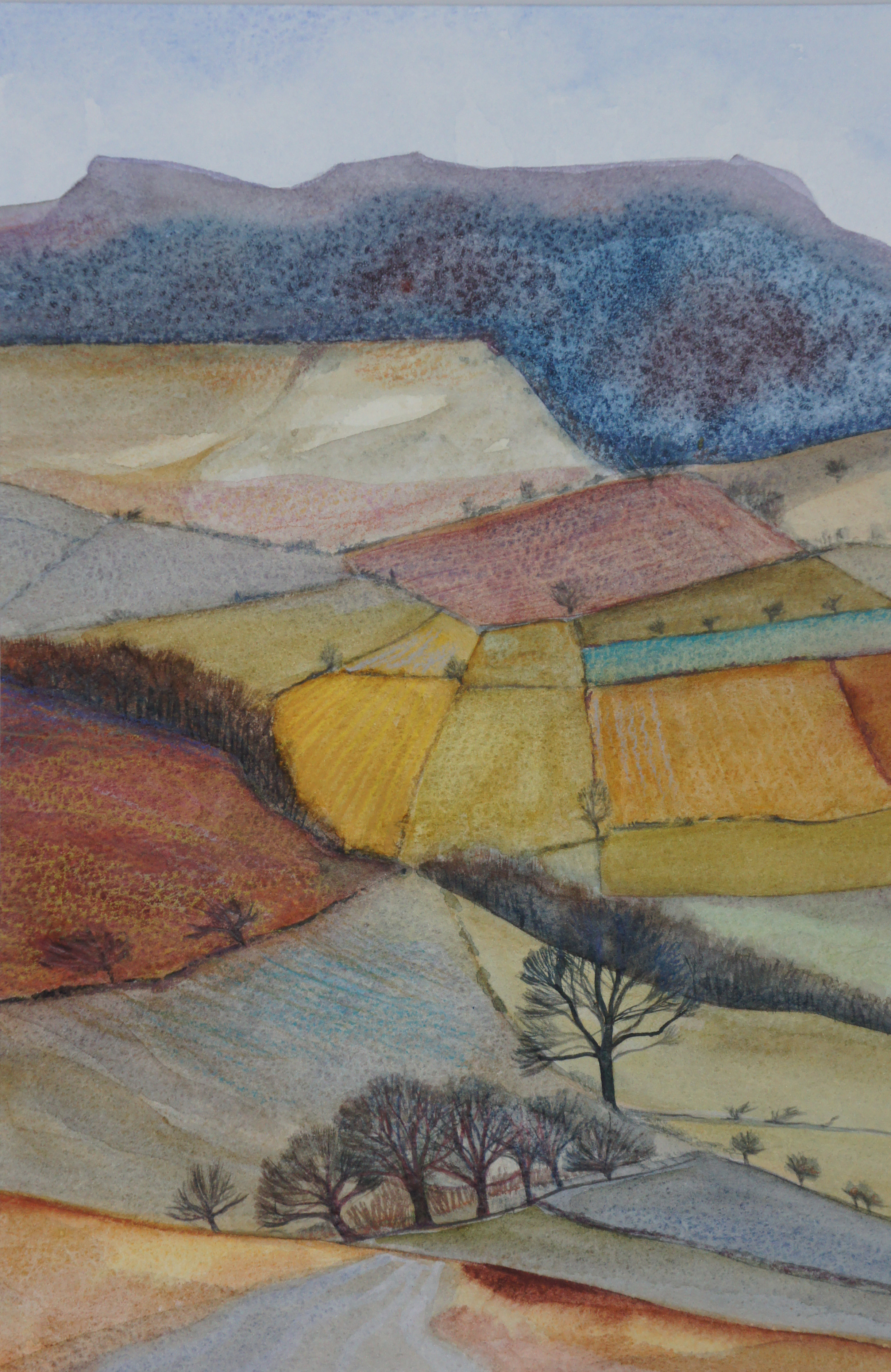 Cartington Fields