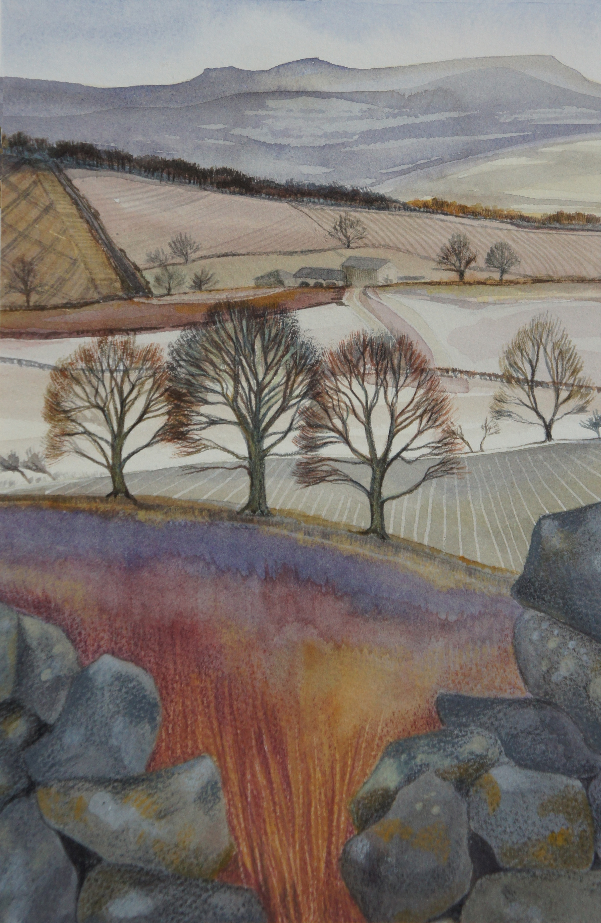 Winter Fields
