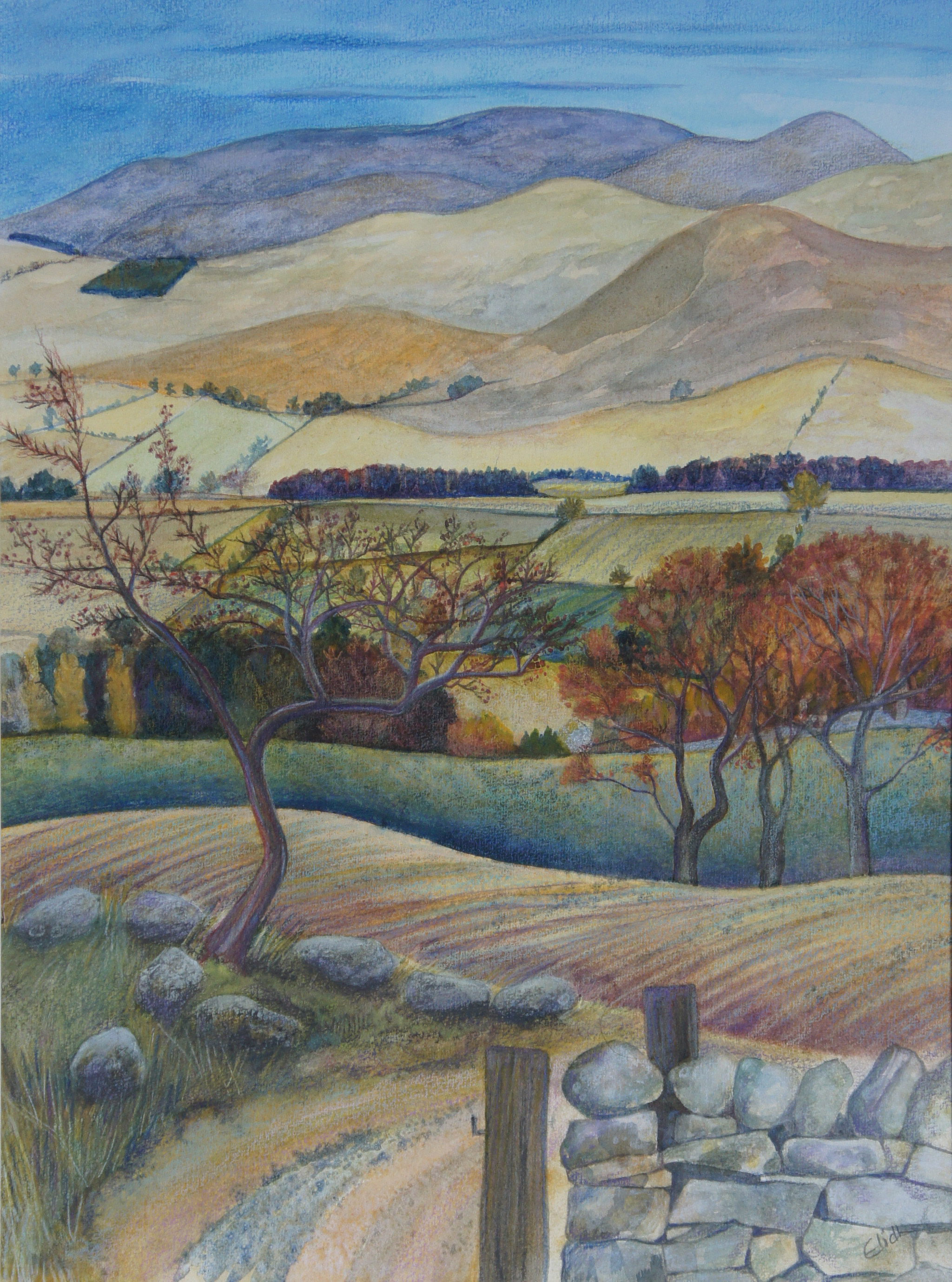 Gateway to the Cheviot